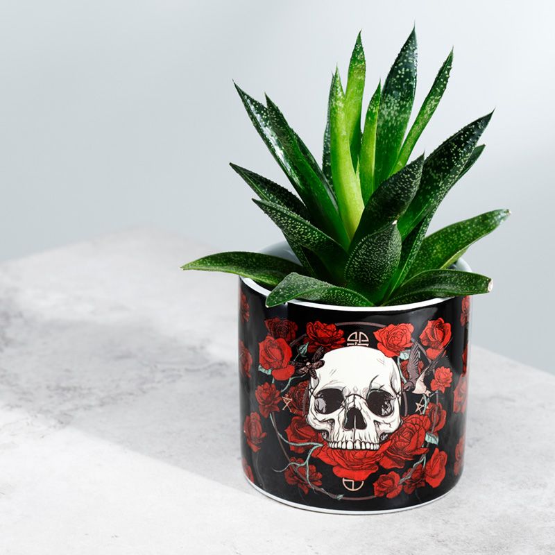 Skull 2024 plant pot